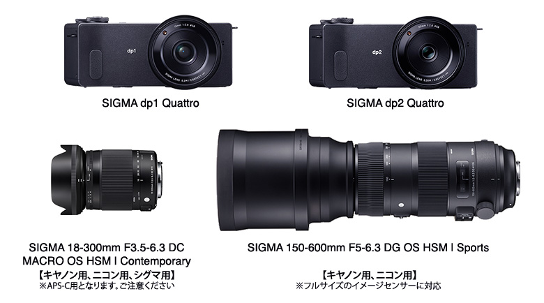 543dc184a13eb