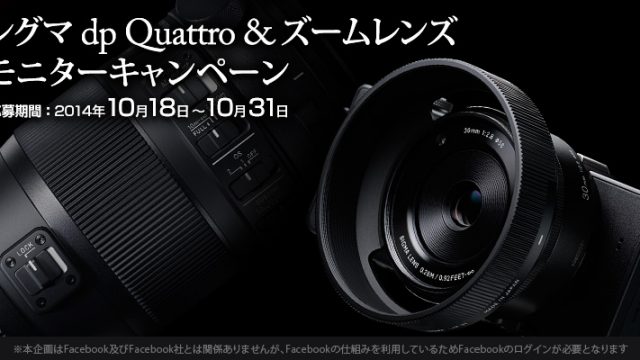 SIGMAのバズーカーのような超望遠レンズ150-600mmを1ヶ月間使える事になったぞ！