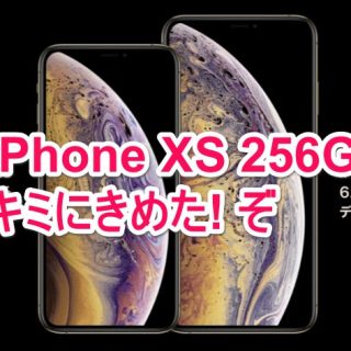 iPhone XSの256GBを購入決定！決めた理由を説明するぞ！